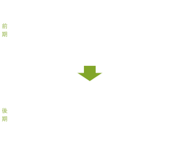 探究ゼミは、生徒自ら課題を設定して行う、3年間の体系的なアクティブラーニングプログラムです。