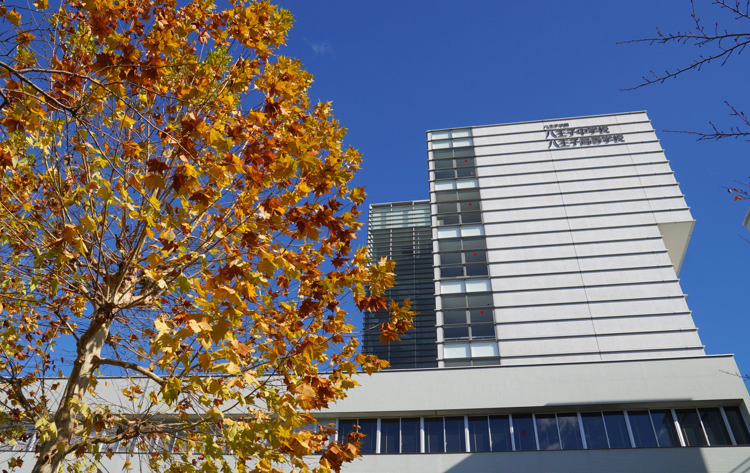 Hachioji Junior high school and Senior high school
