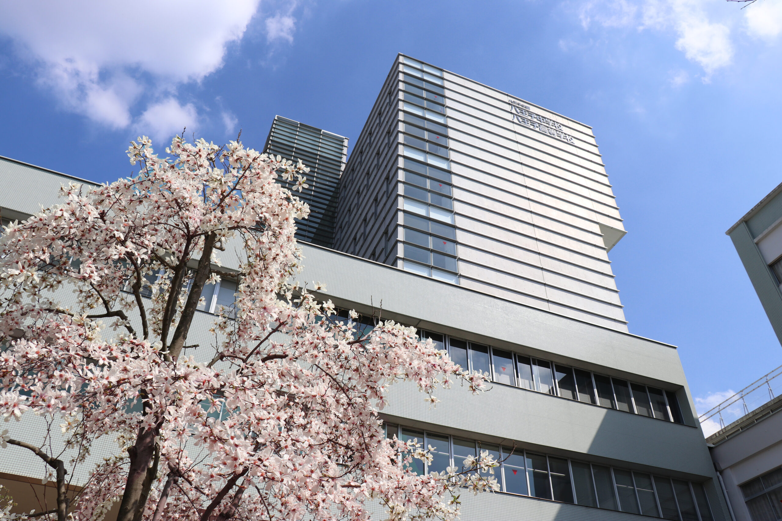 Hachioji Junior high school and Senior high school